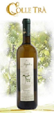 COLLE TRA' :: Malvasia I.G.T. Colli Aprutini 